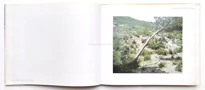 Risaku Suzuki – Mont Sainte Victoire