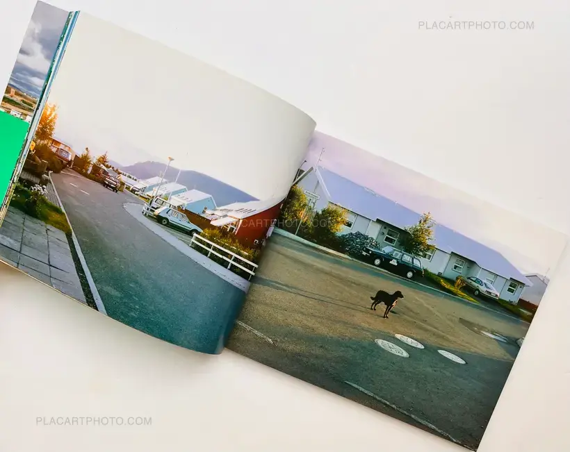 Takashi Homma – Hyper Ballad: Icelandic Suburban Landscapes
