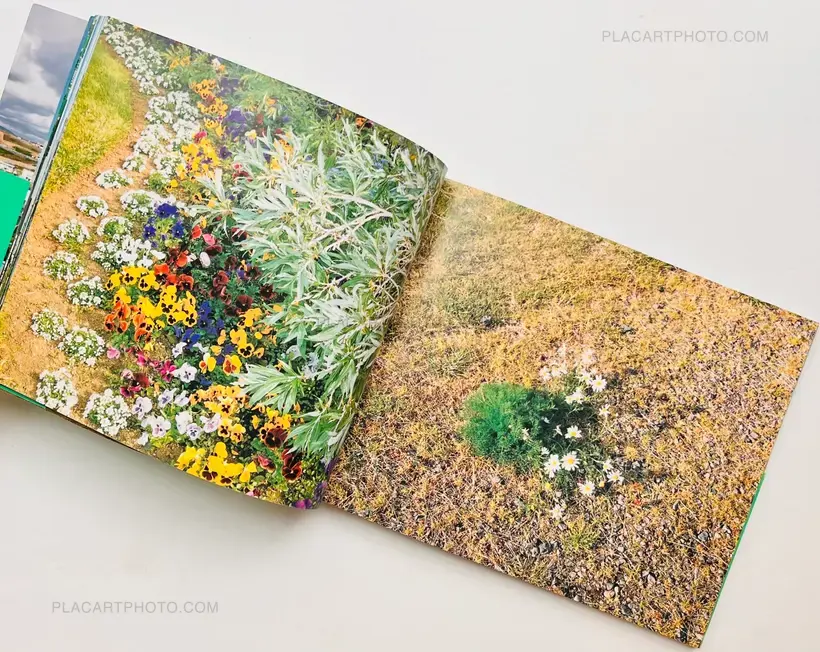 Takashi Homma – Hyper Ballad: Icelandic Suburban Landscapes