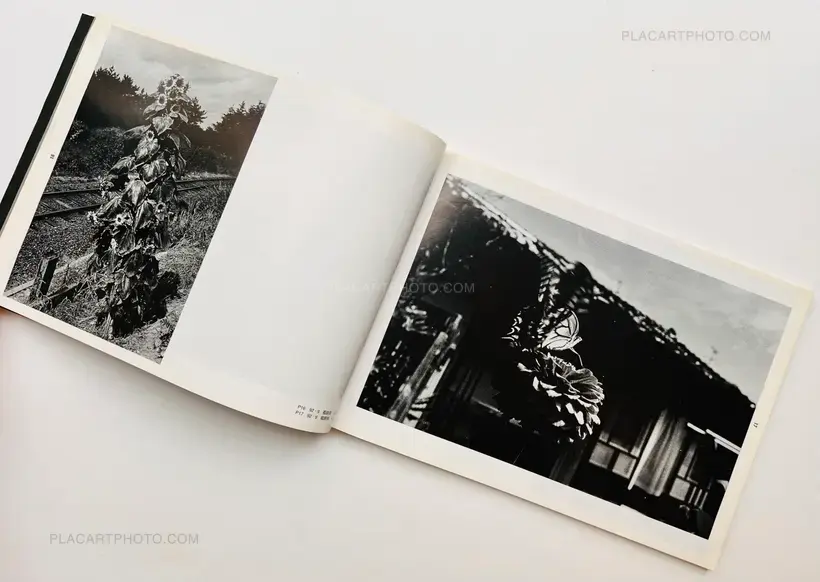 Koji Onaka – Distance (Signed and inscribed)