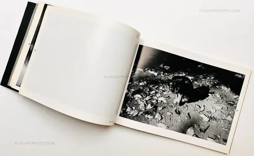 Koji Onaka – Distance (Signed and inscribed)