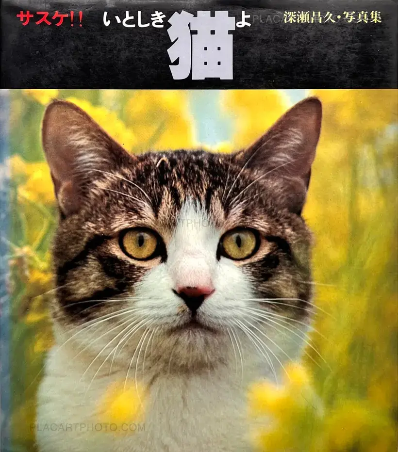 Masahisa Fukase – Sasuke !! Itoshiki neko yo / Sasuke !! My dear cat