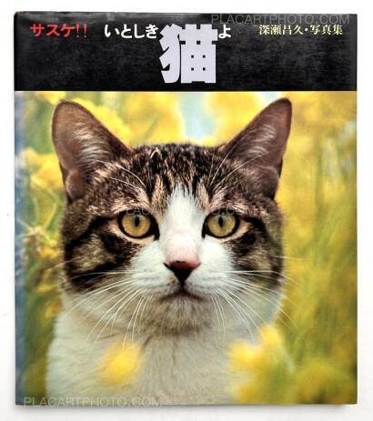 Masahisa Fukase,Sasuke !! Itoshiki neko yo / Sasuke !! My dear cat