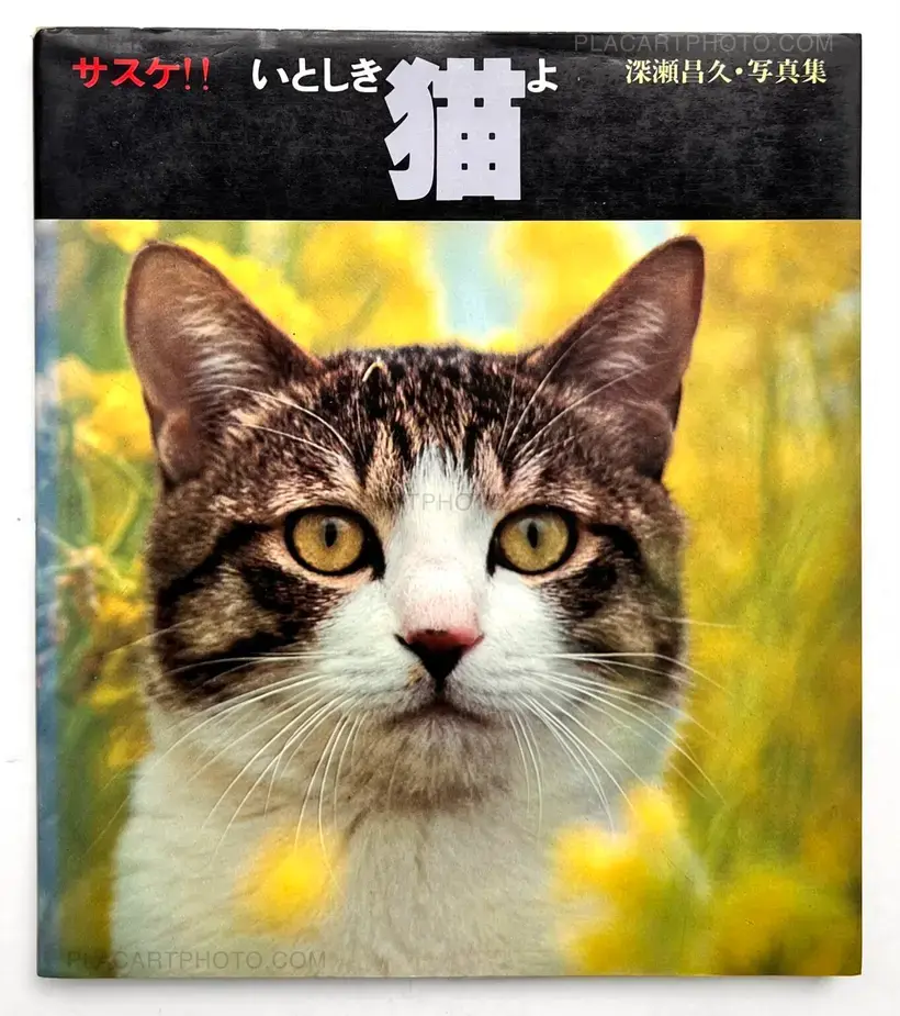 Masahisa Fukase – Sasuke !! Itoshiki neko yo / Sasuke !! My dear cat