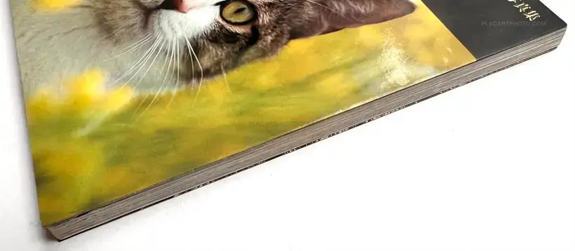 Masahisa Fukase – Sasuke !! Itoshiki neko yo / Sasuke !! My dear cat