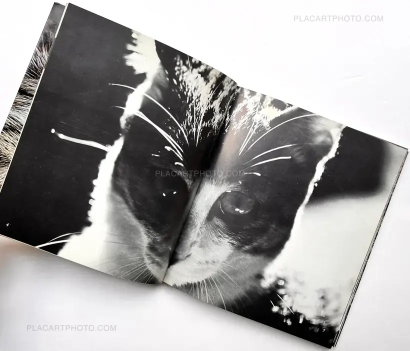 Masahisa Fukase – Sasuke !! Itoshiki neko yo / Sasuke !! My dear cat