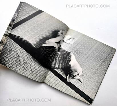 Masahisa Fukase,Sasuke !! Itoshiki neko yo / Sasuke !! My dear cat