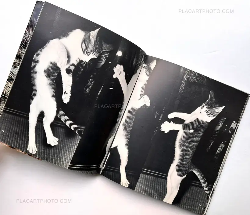 Masahisa Fukase – Sasuke !! Itoshiki neko yo / Sasuke !! My dear cat