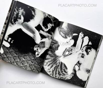 Masahisa Fukase,Sasuke !! Itoshiki neko yo / Sasuke !! My dear cat