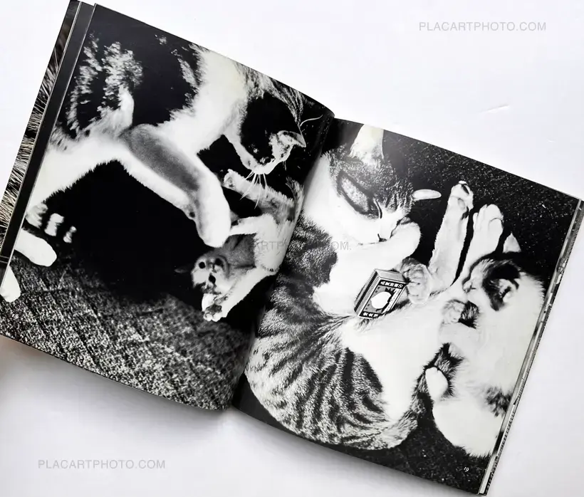 Masahisa Fukase – Sasuke !! Itoshiki neko yo / Sasuke !! My dear cat