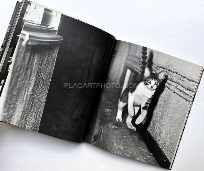 Masahisa Fukase,Sasuke !! Itoshiki neko yo / Sasuke !! My dear cat