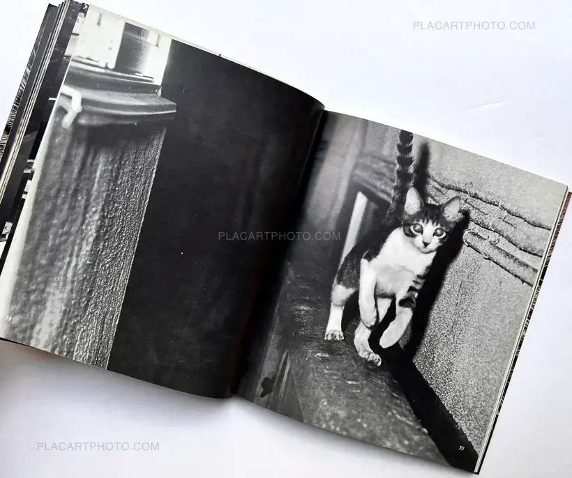 Masahisa Fukase – Sasuke !! Itoshiki neko yo / Sasuke !! My dear cat