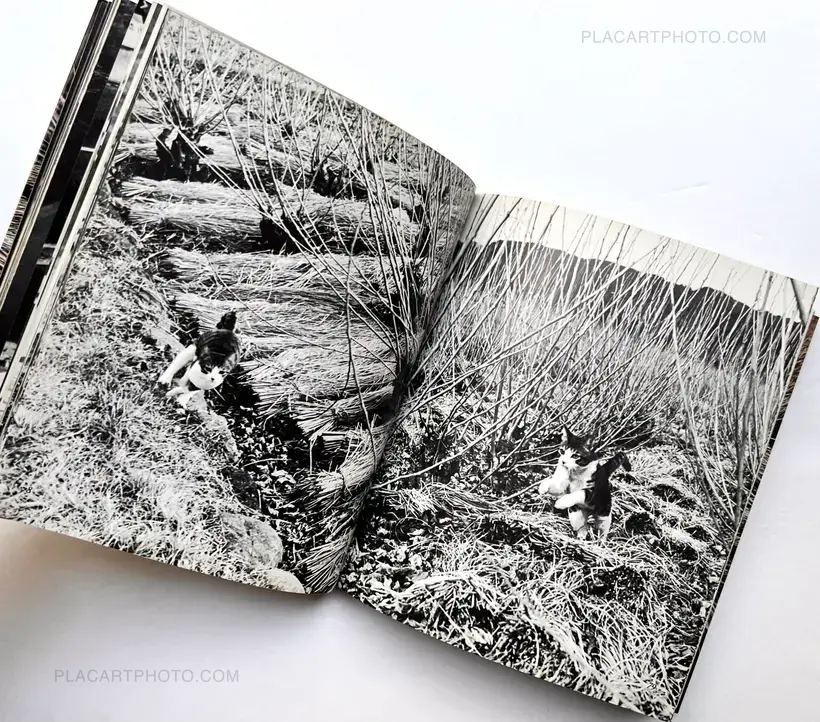 Masahisa Fukase – Sasuke !! Itoshiki neko yo / Sasuke !! My dear cat