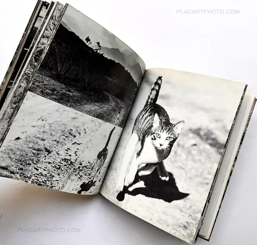 Masahisa Fukase – Sasuke !! Itoshiki neko yo / Sasuke !! My dear cat