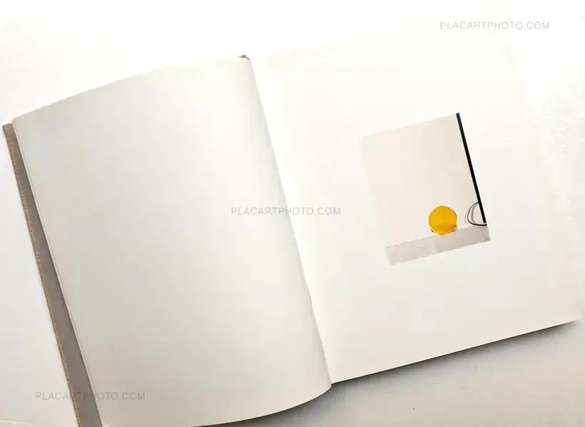 Lucas Blalock – WINDOWS MIRRORS TABLETOPS (SIGNED)