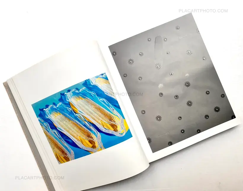 Lucas Blalock – WINDOWS MIRRORS TABLETOPS (SIGNED)