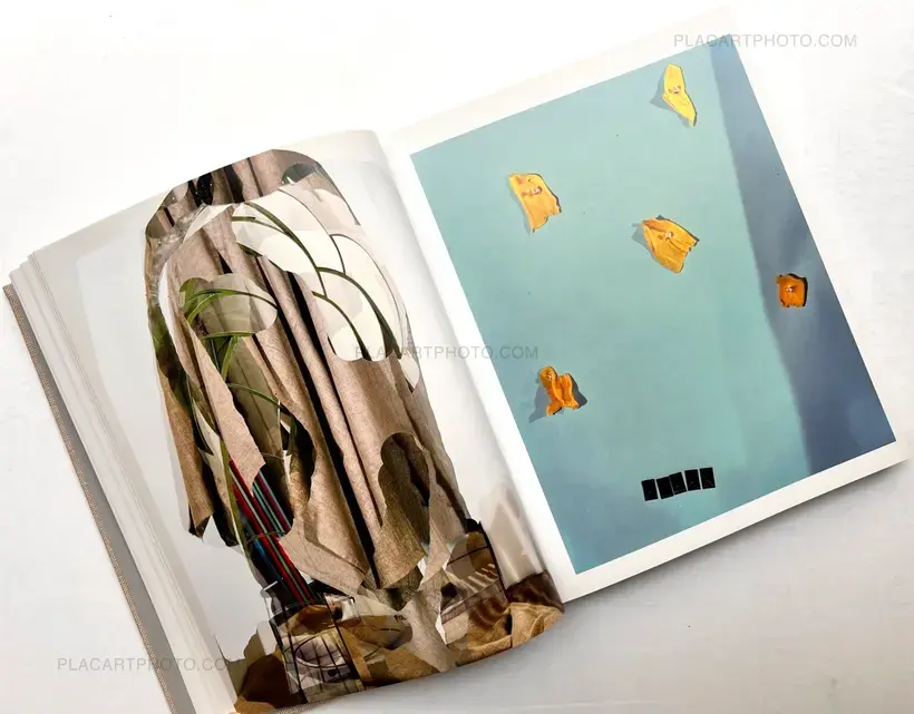 Lucas Blalock – WINDOWS MIRRORS TABLETOPS (SIGNED)