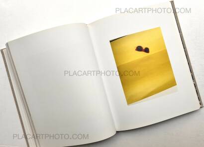 Lucas Blalock,WINDOWS MIRRORS TABLETOPS (SIGNED)