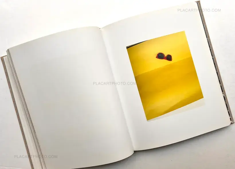 Lucas Blalock – WINDOWS MIRRORS TABLETOPS (SIGNED)