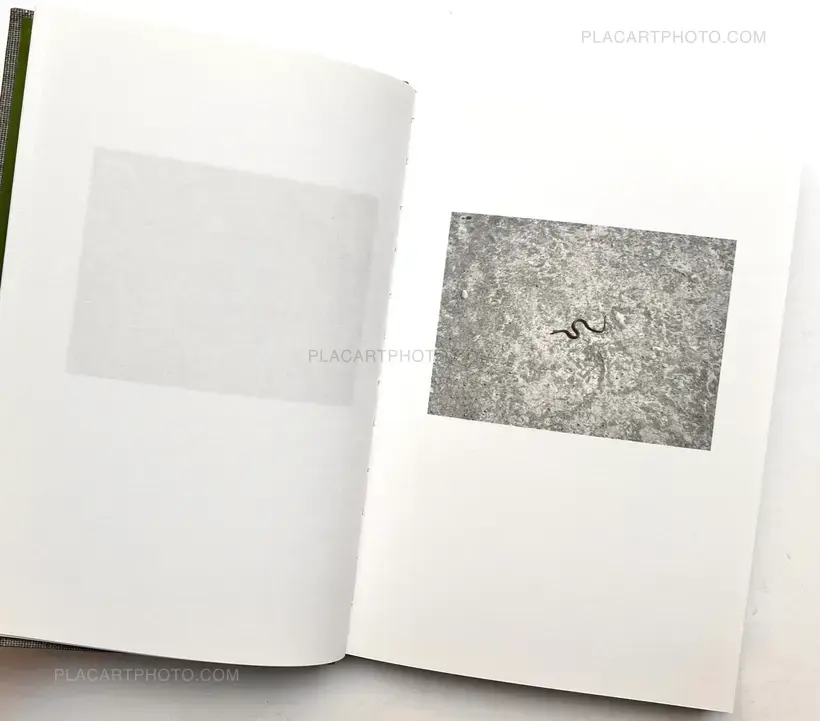 Mårten Lange – ANOTHER LANGUAGE
