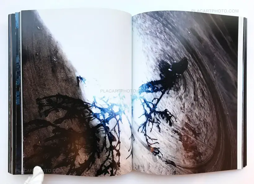 Lieko Shiga – Rasen Kaigan