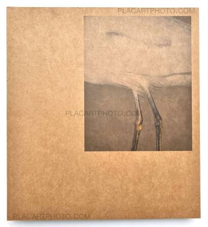 Daniel Shea,43-35 10th Street