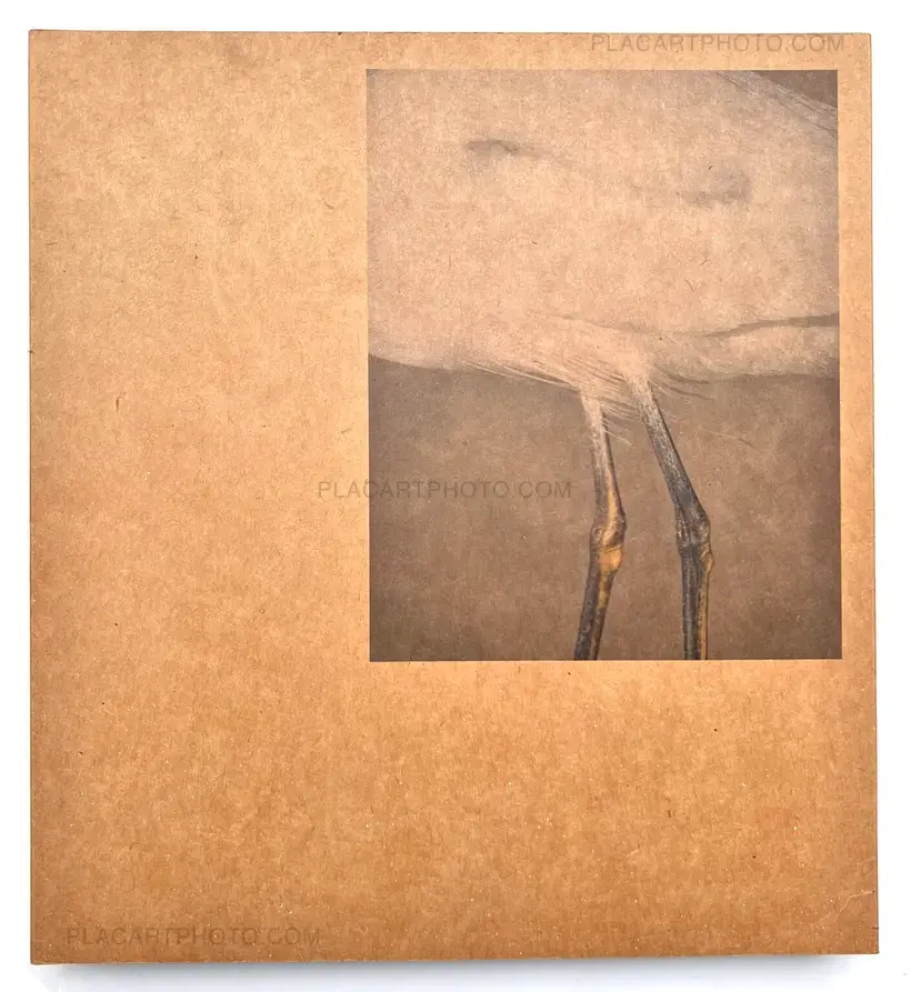 Daniel Shea – 43-35 10th Street