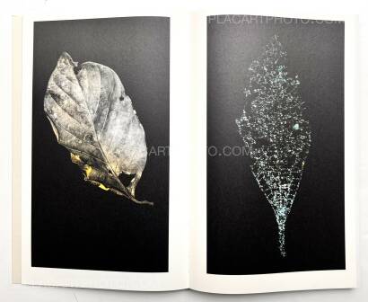 Paul Cupido,AMAZONIA