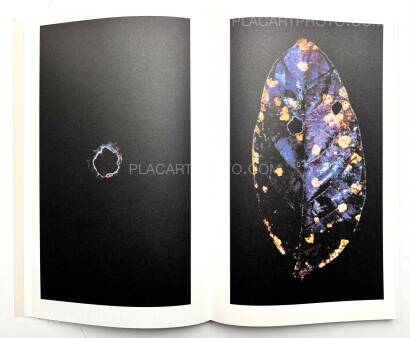 Paul Cupido,AMAZONIA