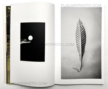 Paul Cupido,AMAZONIA