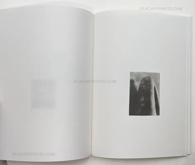 Gael del Rio and Luca Bani – Oddments 3/5 (Special edition of 5 copies)