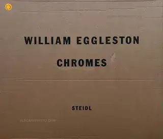 William Eggleston: 5x7, Twin Palms , 2006 | Bookshop Le Plac'Art Photo