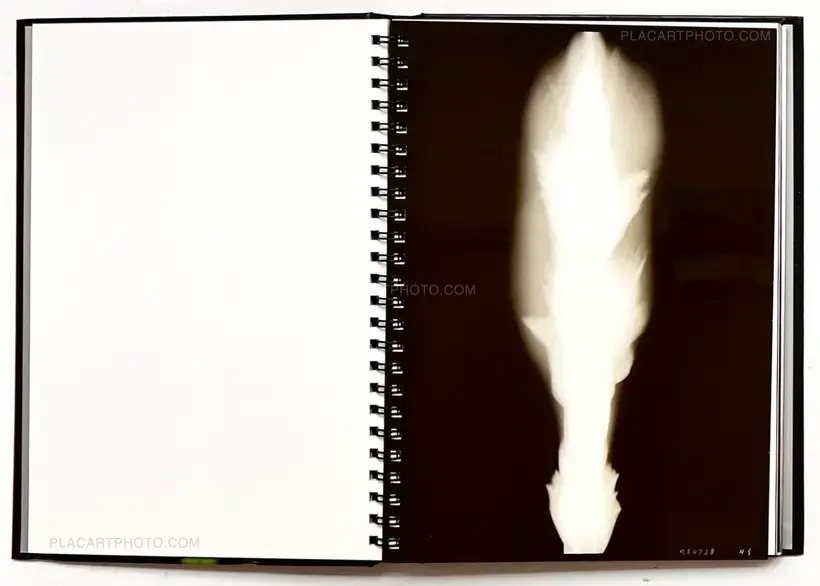 Hiroshi Sugimoto – SUGIMOTO In Praise of Shadows