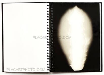 Hiroshi Sugimoto, SUGIMOTO In Praise of Shadows