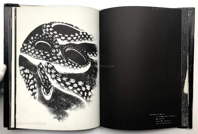 Nobuyuki Wakabayashi – Adam and Eve