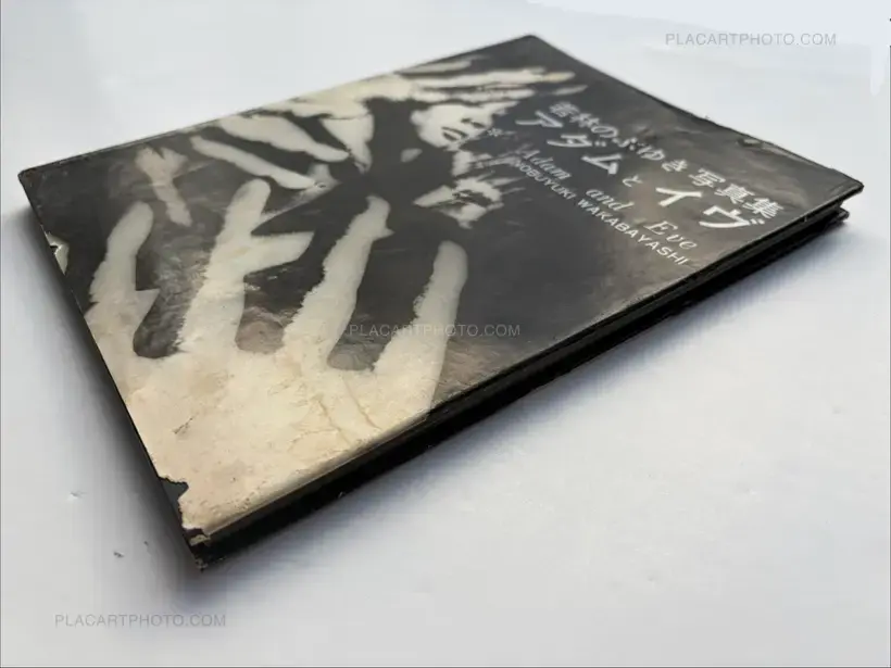 Nobuyuki Wakabayashi – Adam and Eve