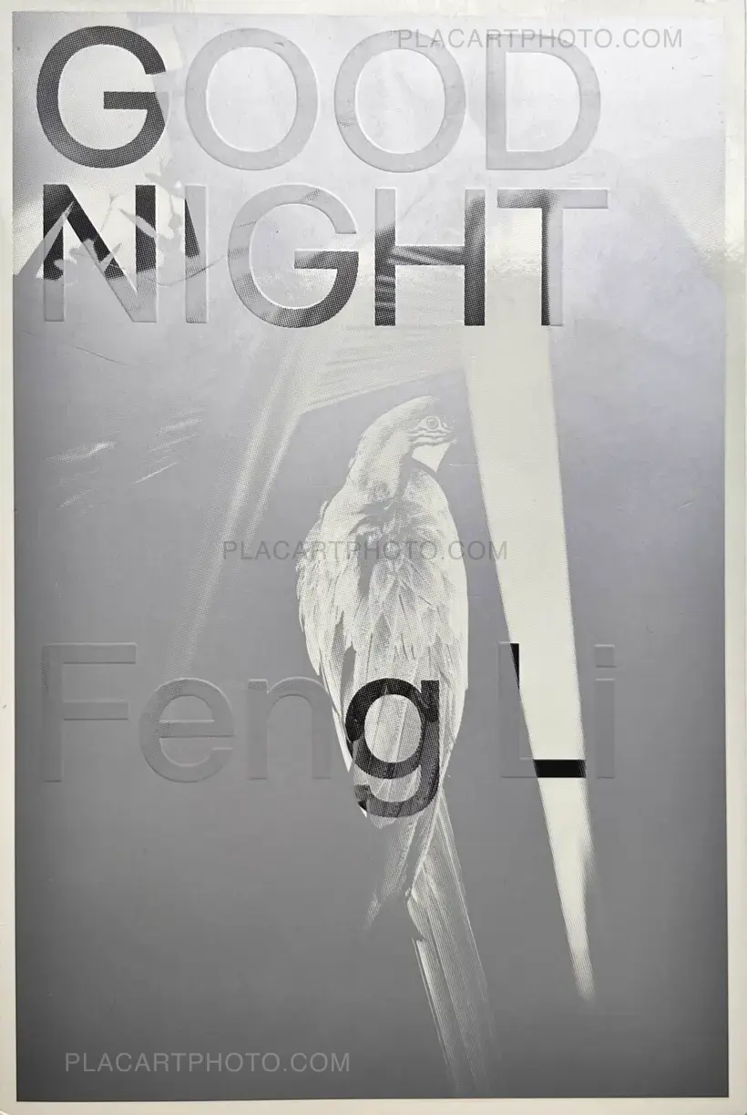 Feng Li – GOOD NIGHT