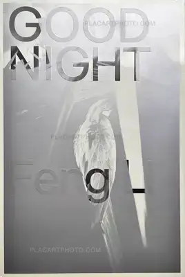 Feng Li – GOOD NIGHT