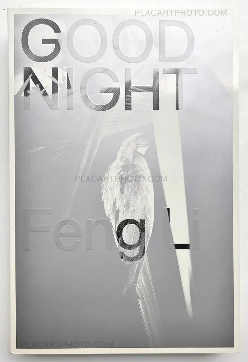 Feng Li – GOOD NIGHT