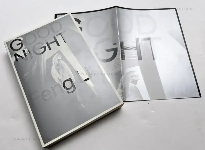 Feng Li – GOOD NIGHT