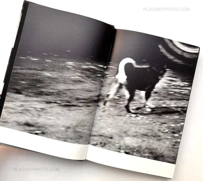 Daido Moriyama – Terayama (Signed and numbered)