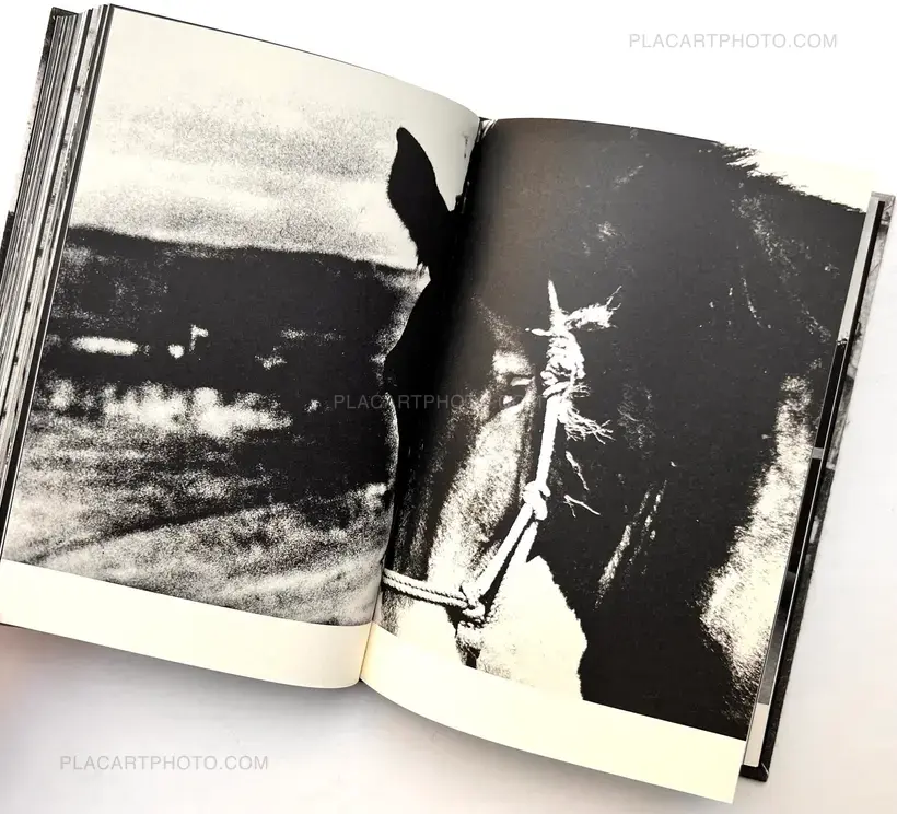 Daido Moriyama – Terayama (Signed and numbered)