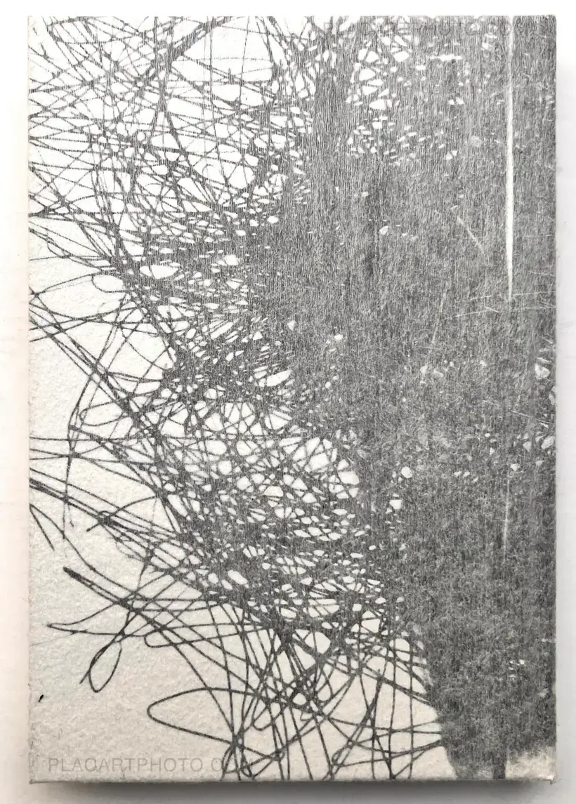 Daido Moriyama – Dazai (Signed and numbered)