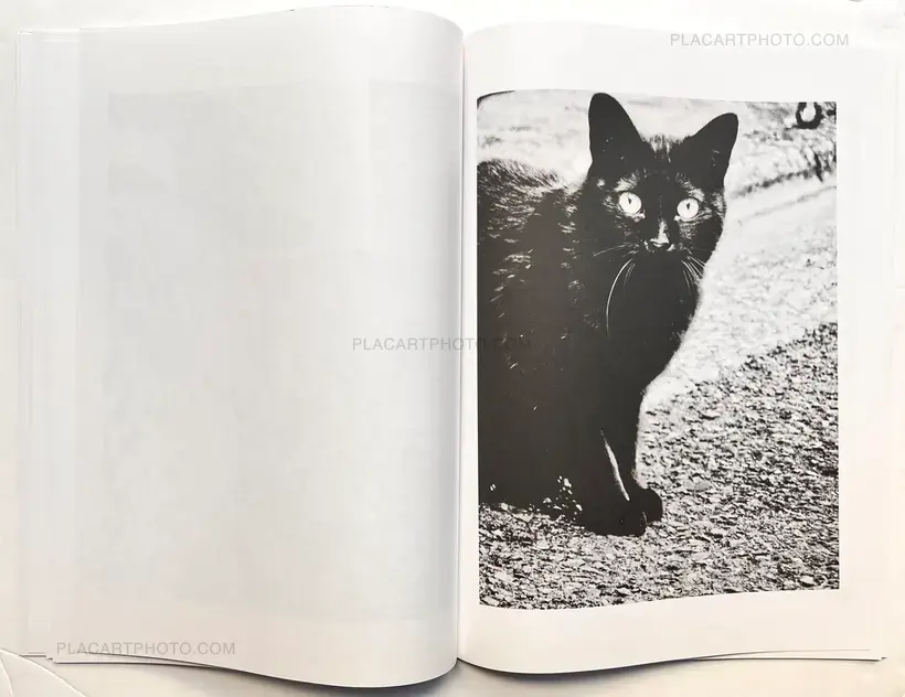 Daido Moriyama – 2013 Ikebukuro (Signed)