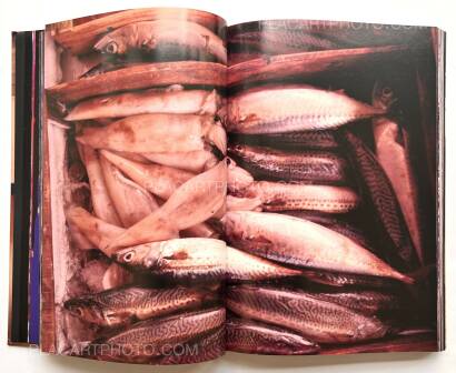 Daido Moriyama,Daido Moriyama in Color Now, and Never Again