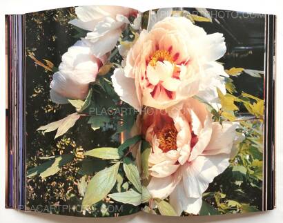 Daido Moriyama,Daido Moriyama in Color Now, and Never Again