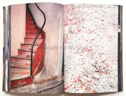 Daido Moriyama,Daido Moriyama in Color Now, and Never Again