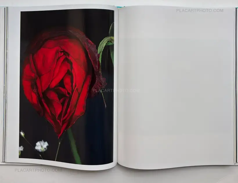 Nobuyoshi Araki – Tenshi-Sai (Angel's Festival)