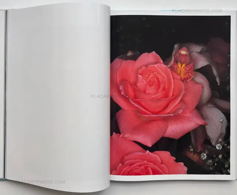 Nobuyoshi Araki – Tenshi-Sai (Angel's Festival)
