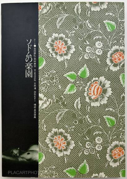 Yasuhiro Yoshioka ,The garden of Sodom